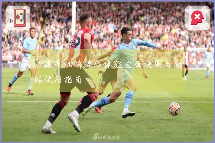 必赢手机端操作体验全面说明与功能使用指南