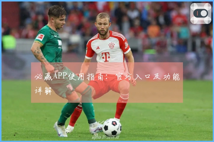 必赢APP使用指南：官方入口及功能详解