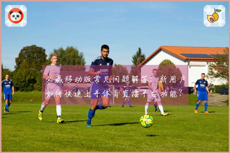 必赢移动版常见问题解答：新用户如何快速上手体育直播平台功能？